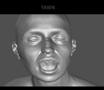 Yawn, 3D computer animation with sound, a synthetic woman undergoes a series or subtle emotionally expressive transformations, Maya.